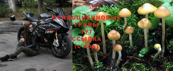 гашишное масло Вязьма