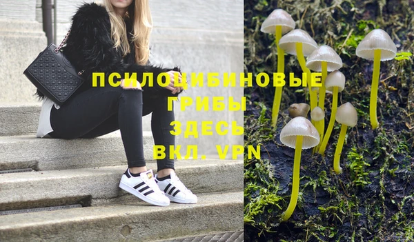 прущие крисы Вязники