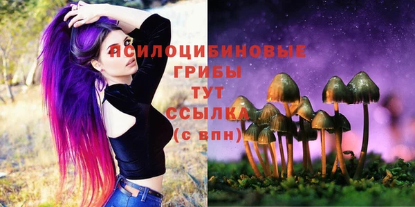 прущие крисы Вязники