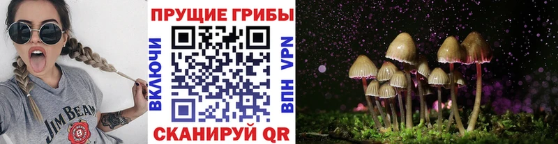 цена   Славянск-на-Кубани  Псилоцибиновые грибы мухоморы 